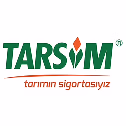Tarsim